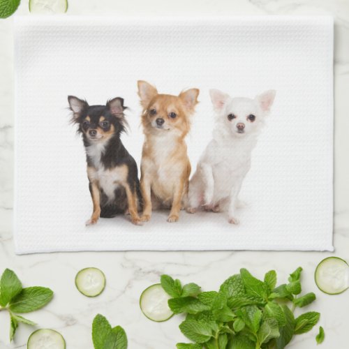 Chihuahua Kitchen Towel