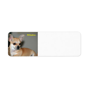 Chihuahua Label