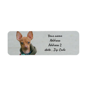 Chihuahua Label