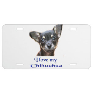 Chihuahua License Plate
