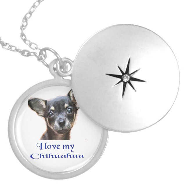 Chihuahua Locket Necklace (Front)