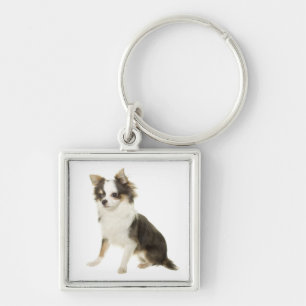 Chihuahua Long Coat Puppy Dog Keychain