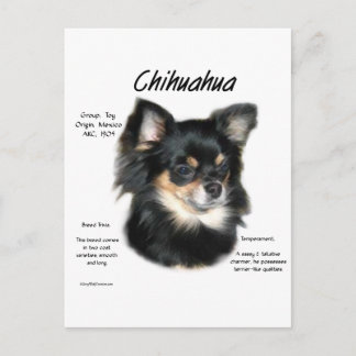 Chihuahua (long) History Design Postcard