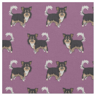 Chihuahua longhaired tricolored dog purple fabric