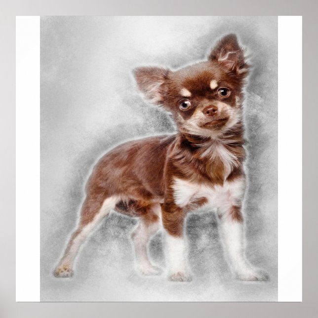 Chihuahua looking at camer_Dog Lover Poster (Front)