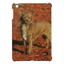 Chihuahua Looking at Camera iPad Mini Case