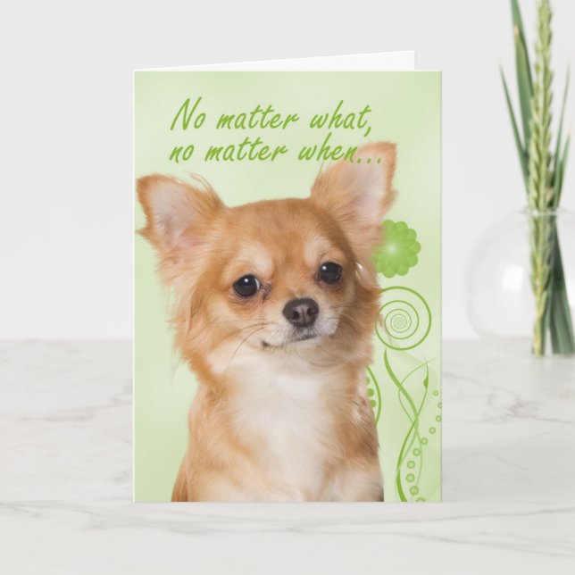 Chihuahua Love/Support/Get Well Card (Front)