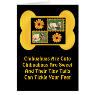 Chihuahua Lover Delight Cards