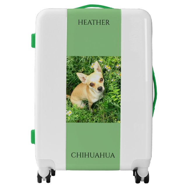Chihuahua luggage! luggage (Front)