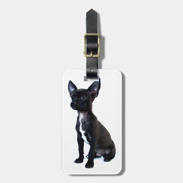 Chihuahua Luggage Tag (Front Vertical)