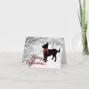 Chihuahua Merry Christmas Card
