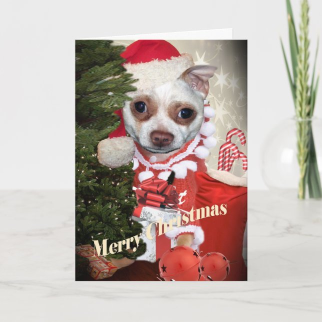 Chihuahua Merry Christmas Holiday Card (Front)