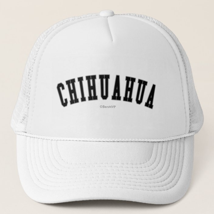 Chihuahua Mesh Hat