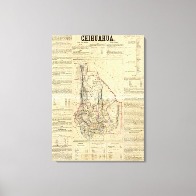 Chihuahua, Mexico Canvas Print (Front)