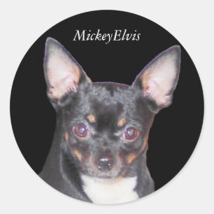 Chihuahua MickeyElvis Sticker