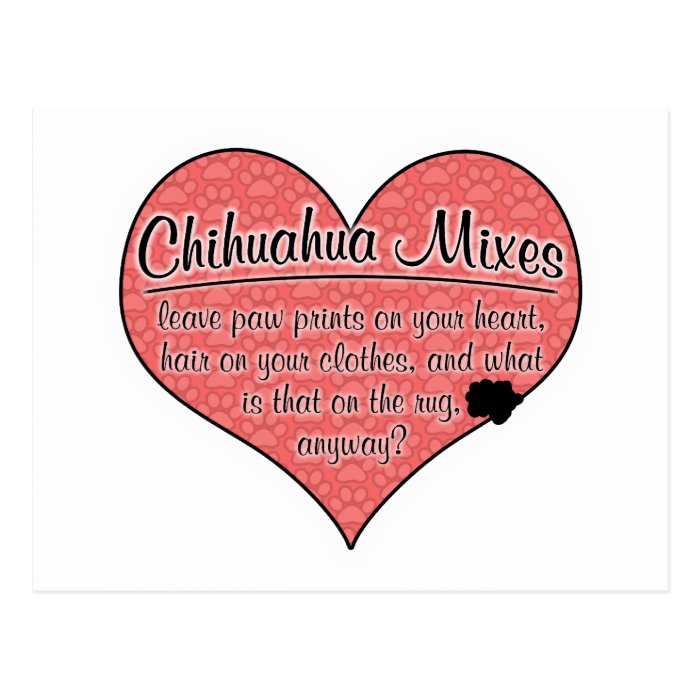 Chihuahua Mixes Paw Prints Dog Humor Post Cards