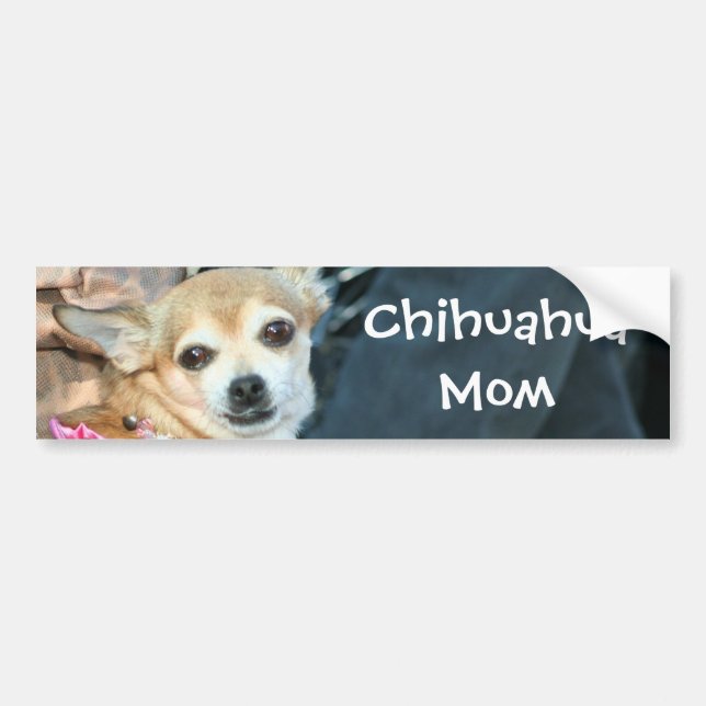 Chihuahua Mom Bumper sticker (Front)