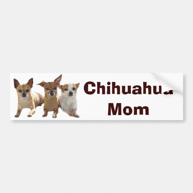 Chihuahua Mom Bumper Sticker (Front)