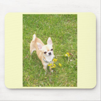 Chihuahua Mouse Pad