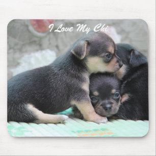 Chihuahua Mouse Pad Add Photo And Text