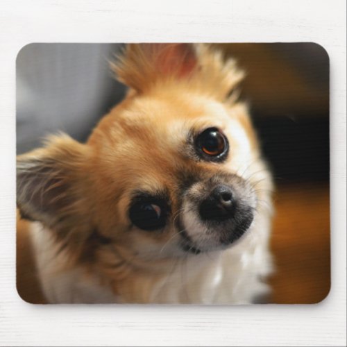 Chihuahua Mouse Pads Add Your Photo