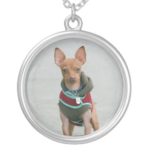 Chihuahua Necklace