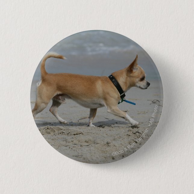 Chihuahua on Beach Button (Front)