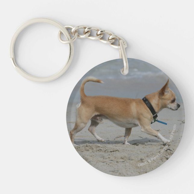Chihuahua on Beach Keychain (Front)