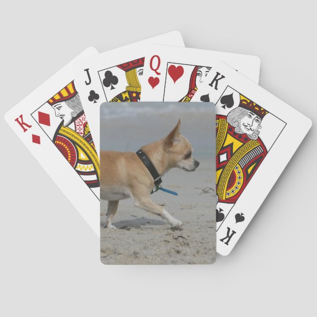 Chihuahua on Beach Poker Cards (Back)