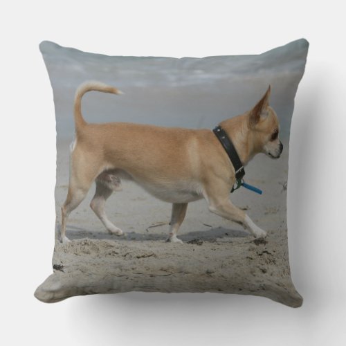 Chihuahua on Beach Throw Pillow