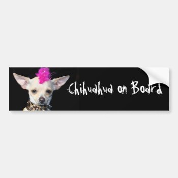 Chihuahua On Board Bumper Sticker by ritmoboxer at Zazzle