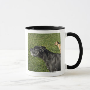 Chihuahua on Great Dane's back 2 Mug