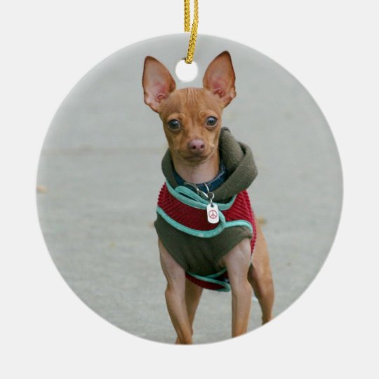 Chihuahua Ornament
