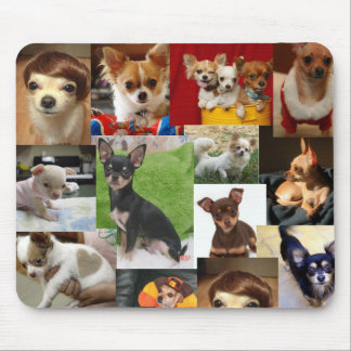 chihuahua pad mouse pad