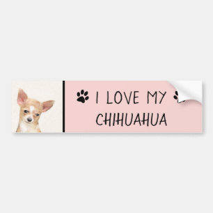 Chihuahua Painting - Cute Original Dog Art Bumper Sticker