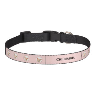 Chihuahua Painting - Cute Original Dog Art Pet Col Collar