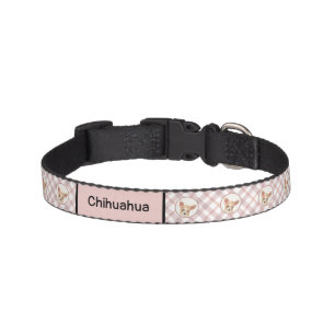 Chihuahua Painting - Cute Original Dog Art Pet Collar
