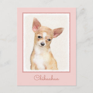 Chihuahua Painting - Cute Original Dog Art Postcard