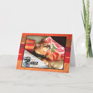 Chihuahua 'PEACE' Blank Card for Anyone