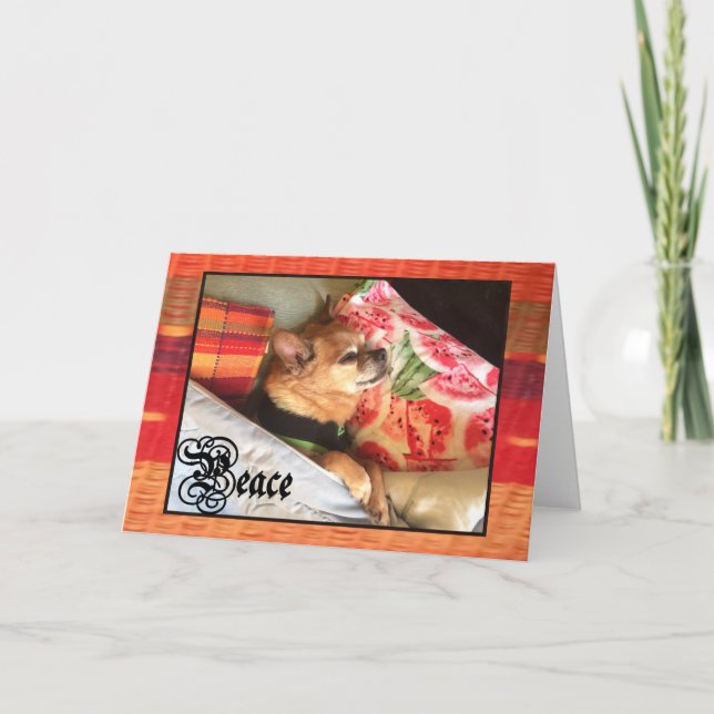 Chihuahua 'PEACE' Blank Card for Anyone (Front)
