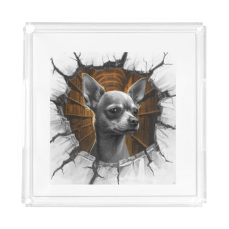 Chihuahua Peers Through A Grey Wooden Wall Acrylic Tray