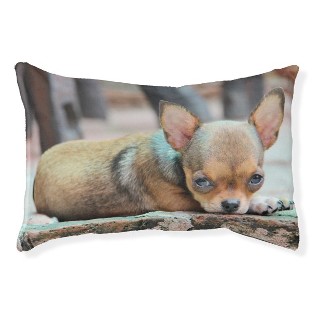 Chihuahua Pet Bed (Front)