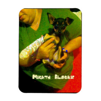 Chihuahua Photo Magnet