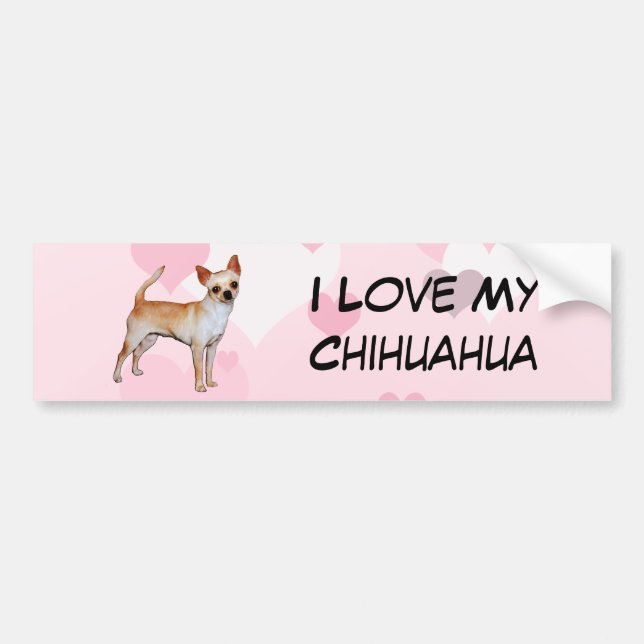 Chihuahua Pink & White Hearts Bumper Sticker (Front)