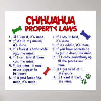 CHIHUAHUA PL2 POSTER