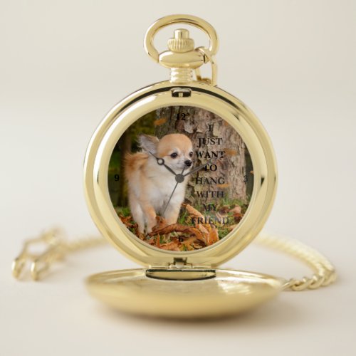 Chihuahua  pocket watch