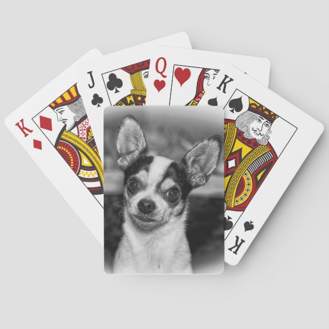 Chihuahua Poker Cards (Back)