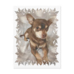 Chihuahua Postcard