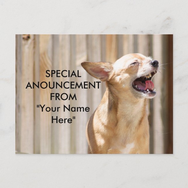 Chihuahua Postcard (Front)