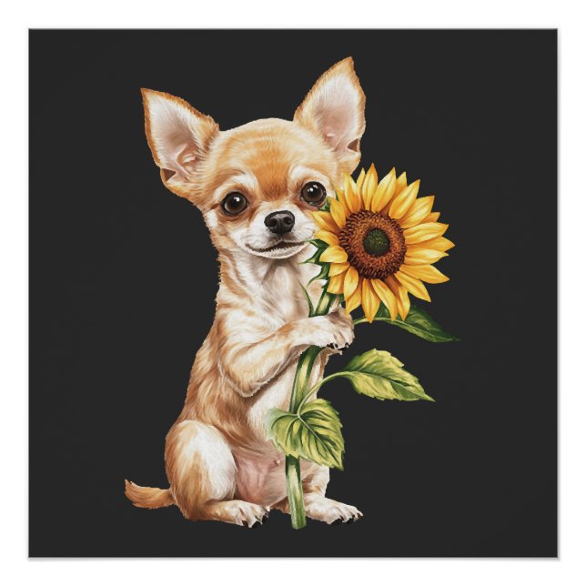 Chihuahua   poster (Front)